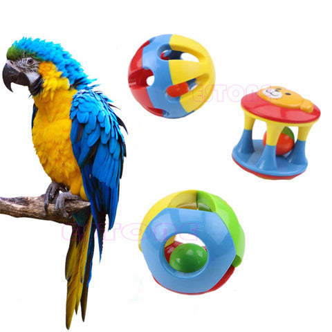 Parrot/ Bird Chew Cage Toy - 3 Types, Safe pet treat, Bright colors